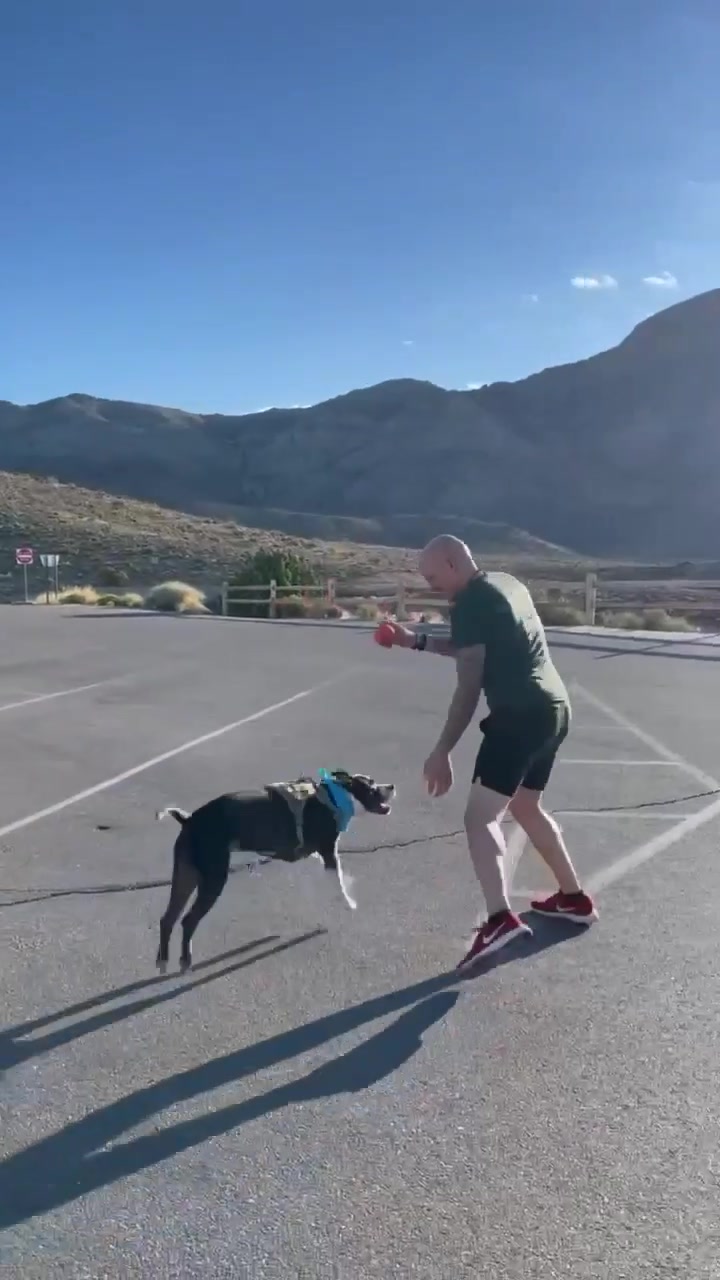 John crouches beside Dexter during a game of fetch with mountains in the background.